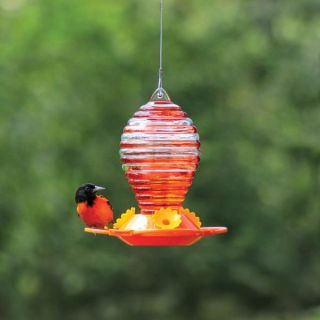Oriole Glass Feeder Thumbnail